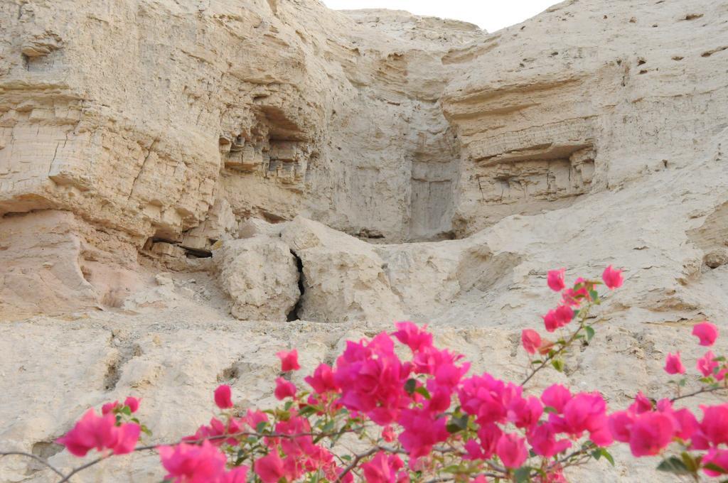 Dead Sea Dawn Villa Neot HaKikar Ngoại thất bức ảnh